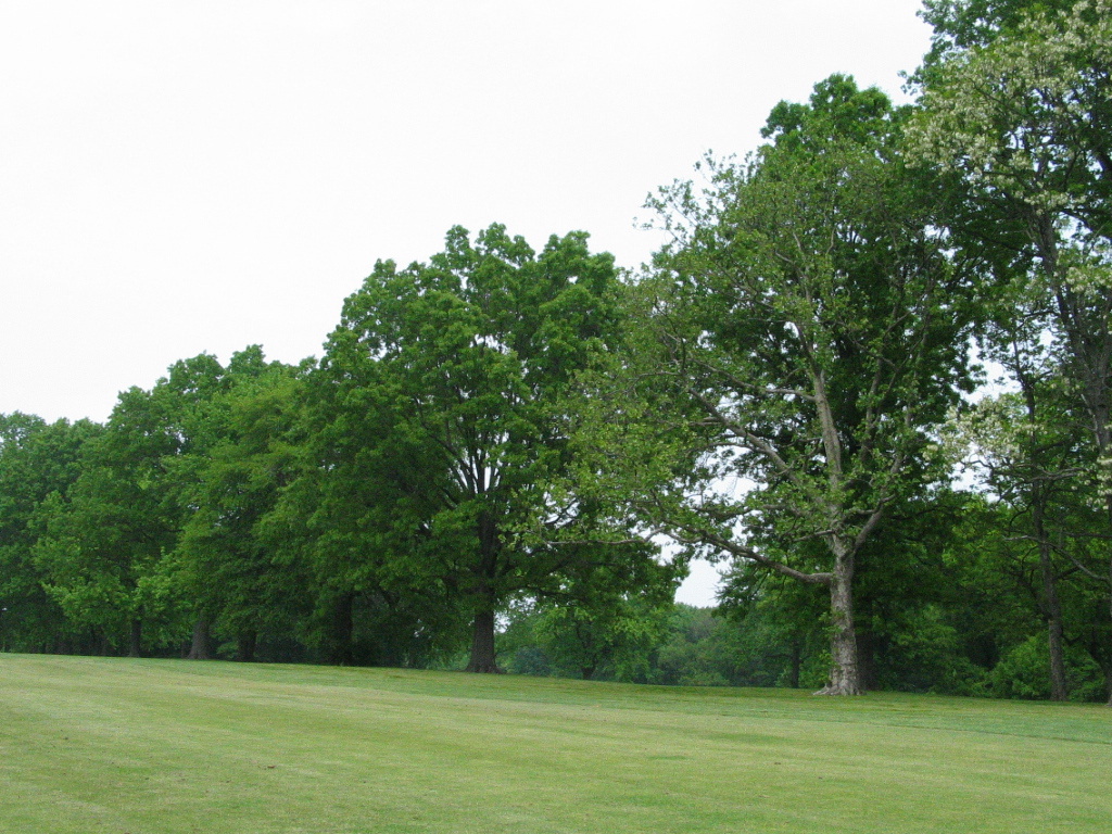 305-0596_IMG.JPG